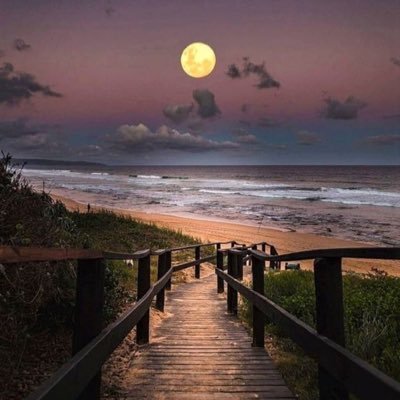 6969_josh's profile picture. 90s cartoons and anime