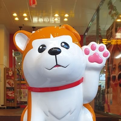 swarnalye's profile picture. The only person you are destined to become is the person you decide to be. Start where you are. Use what you have. Do what you can.