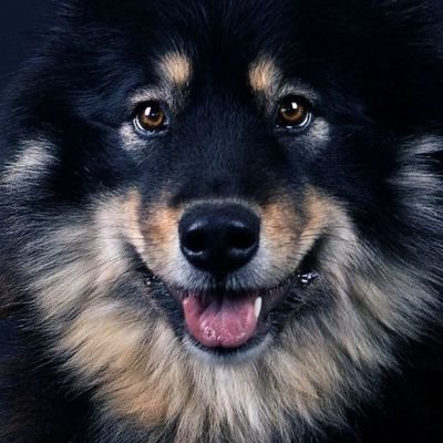 kadin_bazu's profile picture. Change or perish.