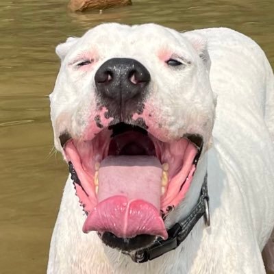 Adam73294258's profile picture. Blockchain and AI investor. I also choke people.
