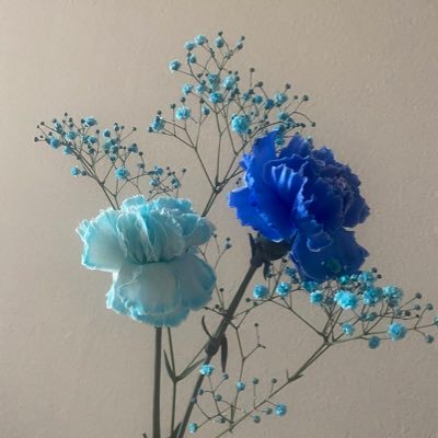 kynutkk's profile picture. ♡