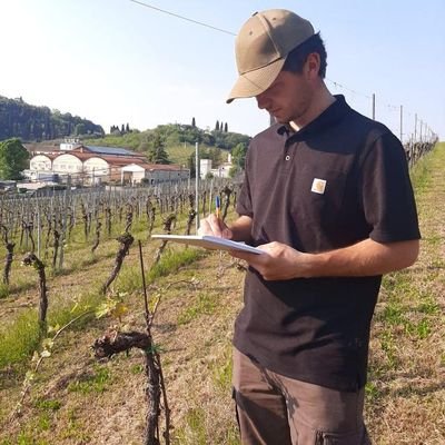 Oenologist and winemaker in Vicenza(Italy), biology student at the University of Padua.