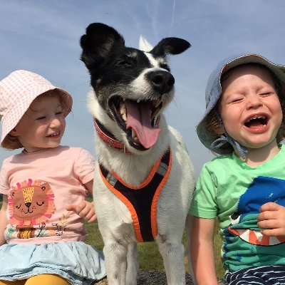 DaveCZfpl's profile picture. Educator, husband, father to 4 year old twins. ITFC, FPL, BeSci, 
Occasionally in that order