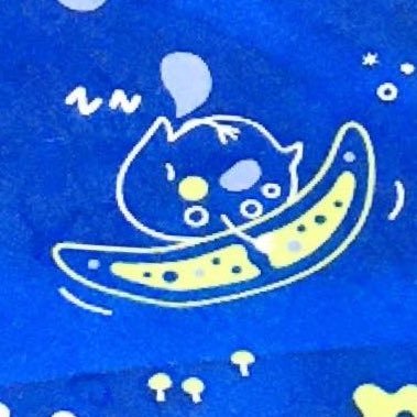 藤並🧚‍♂️さんのプロフィール画像