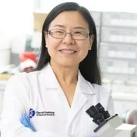 A/Prof Yanchuan Shi MD PhD(@YanShi_Garvan) 's Twitter Profile Photo