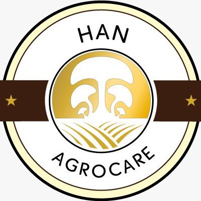Han Agrocare is one of the best suppliers of fresh Mushrooms.