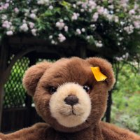 ヤンヤン (@teddybearyanyan) Twitter profile photo