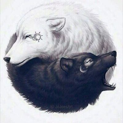 Pew6fs1X8QTxEz9's profile picture. 