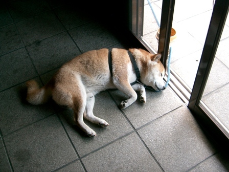 noriology's profile picture. 