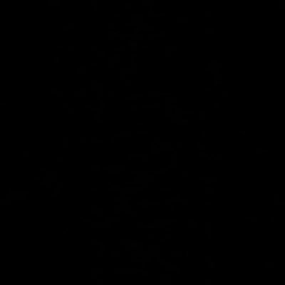 sevvalcerii's profile picture. 