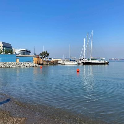 8119shige's profile picture. アメリカ人