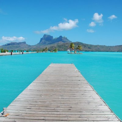 c45v456DkcqMFc7's profile picture. ほぼ呟きません。