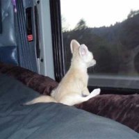 WisconQuarry (@wisconq) 's Twitter Profile