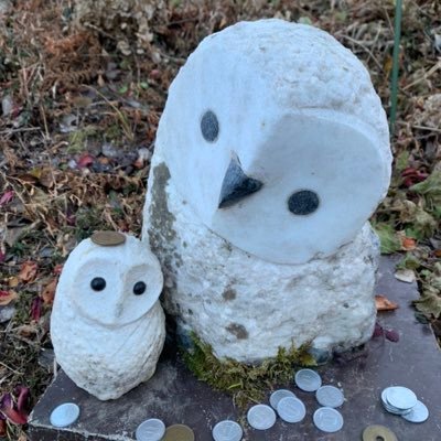 まる🧸11ヶ月のプロフィール写真