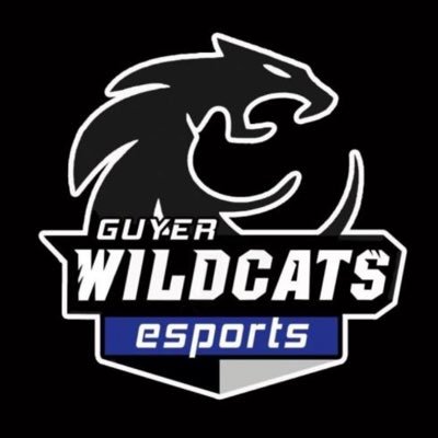 EsportsGuyer Profile Picture