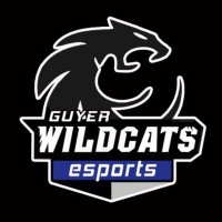 Guyer Esports(@EsportsGuyer) 's Twitter Profile Photo