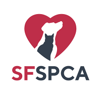 San Francisco SPCA(@sfspca) 's Twitter Profile Photo