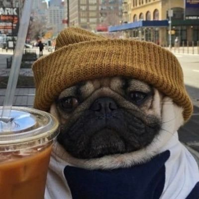 palsb4gals's profile picture. 