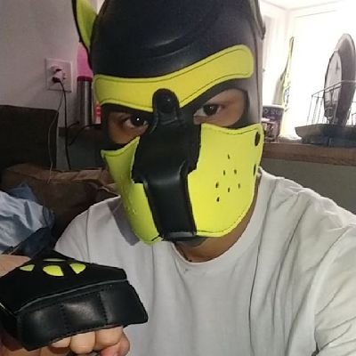 A 23 yr old pup/furry from FL. Mostly #nsfw stuff. Feel free to message me, i wont bite. 18+ Or Blocked
telegram: https://t.co/LwOaeRGYXC #pupplay #puppyplay