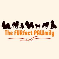 The FURfect PAWmily(@furfectpawmily) 's Twitter Profile Photo