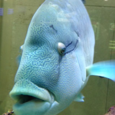 8hfs9tMSQ8Aka4f's profile picture. 