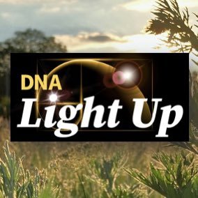 Feel lighter in three sessions, Shine brighter for life!