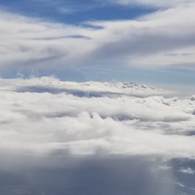 ncscanman's profile picture. 