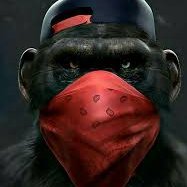 🦧First_Crypto_Gang 🦧 Join #APEsClan 🙉 #ETH #BTC #NFT #CRYPTO🐵
This is not financial advice, we just aping