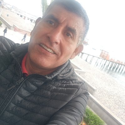 ChavezSaico's profile picture. Fermil el dulce