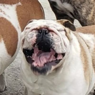 notthaatkaren's profile picture. 