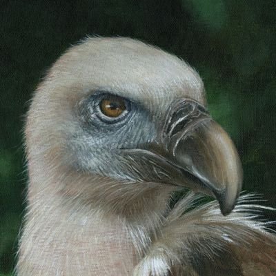 TheRobotmonster's profile picture. 