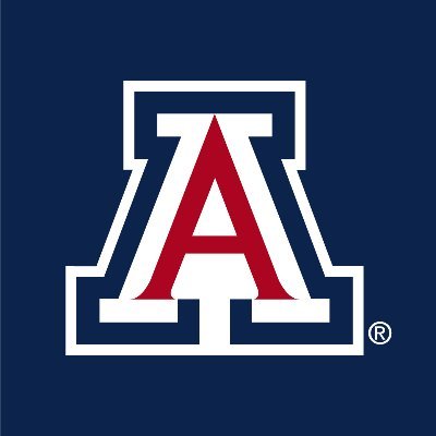 Catalyzing the practice of educational innovation and scholarship on teaching and learning at the University of Arizona