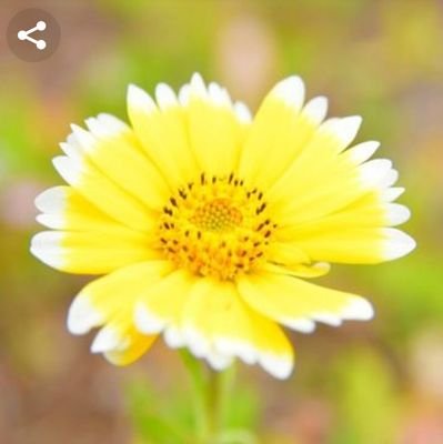 戦争反対🙅殺処分廃止🍀猫、植物、本、音楽、手芸、ダイエット、タロット占い🔮引き寄せの法則🍀宇宙の法則🍀
🌛HSP。(愛猫タマ😺2021年12月6日永眠🥲😭)