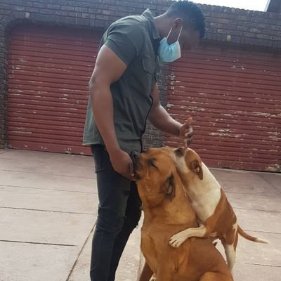 fnet_The_Farmer's profile picture. ⚡Qualified Artisan | 🥬Ardent about Farming | “Life on a farm is a school of patience; you can’t hurry the crop or make an ox in two days.” - Henri Alain.