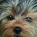 Shawna morris baxter - @shabx76 - Twitter