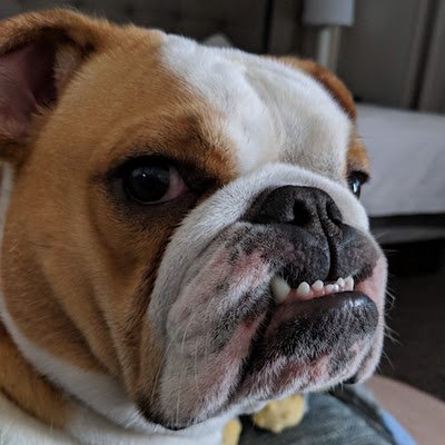 Assistant Professor at the University of Oklahoma, Passionate Engineering Educator, and Proud Bulldog Papa