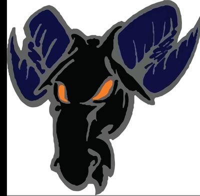 NewBlackSheep1's profile picture. We are a non profit located in Green Bay, WI made up of Veterans and other like-minded individuals helping today’s youth through athletics and mentoring.