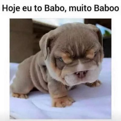 Sempre afim de uma boa gozada, punheta, broderagem, sarro, o resto a gente vê.