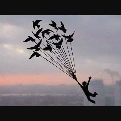 SarahIraq4599's profile picture. S.H