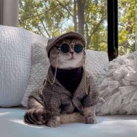 Hoo Lee SheetπΏπΌ . πΏπ¦. (@dreyseland) 's Twitter Profile Photo Hoo Lee SheetπΏπΌ . πΏπ¦. (@dreyseland) 's Twitter Profile Photo