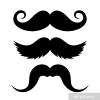 The Mustache (@_themustache) 's Twitter Profile