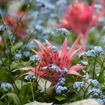 SusanHendley9's profile picture. 