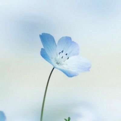 ひなのさんのプロフィール画像