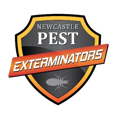 Founded in 2015 we have grown rapidly.  We believe in customer service by focusing on in depth consultation prior to performing any Pest or Termite Services.