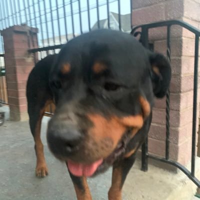 maynor87724211's profile picture. 