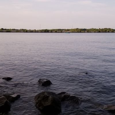 Safaa66557065's profile picture. 