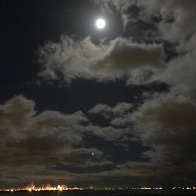 achami927's profile picture. それがあたしの印であったり 傷はアートであったり その痛みを 愛でよう