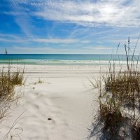 Kathy (@kathy80236775) 's Twitter Profile
