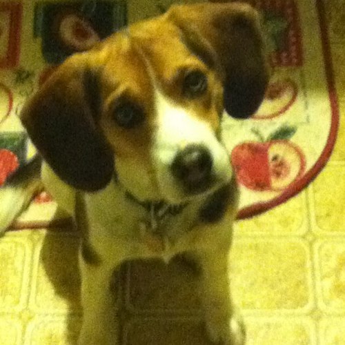 SeanPike13's profile picture. 