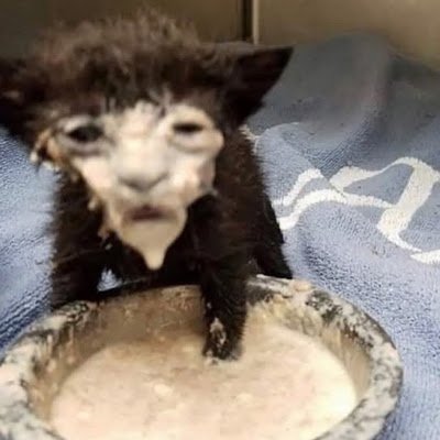 getintoit2006's profile picture. Yo